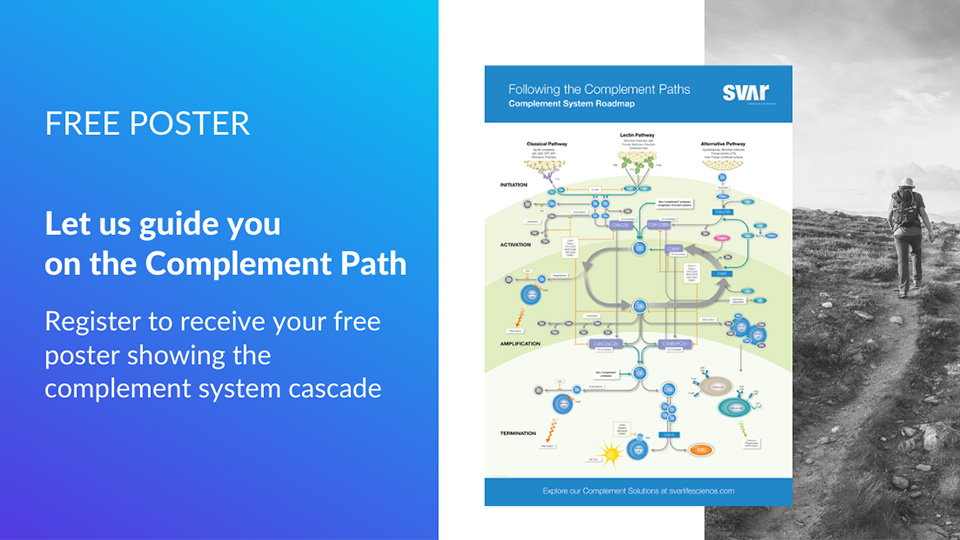 Complement-Roadmap